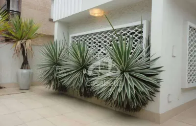 Casa com 3 dormitórios à venda, 255 m² por r$ 2.699.000,00 - gonzaga - santos/sp