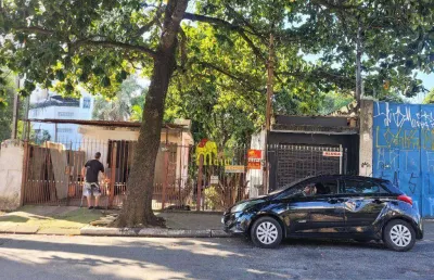 Terreno à venda, 600 m² - vila mangalot - são paulo/sp