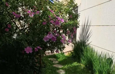 Apartamento à venda em são paulo-sp, parada inglesa: 3 quartos, 1 suíte,  2 vagas de garagem, 78m²