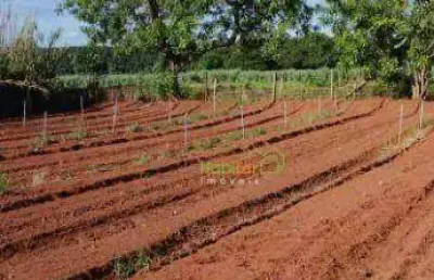 Sítio à venda, 24200 m² por r$ 800.000,00 - zona rural - nova aliança/sp