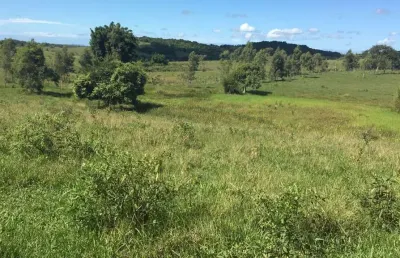 Fazenda para venda em araruama, centro (morro grande)
