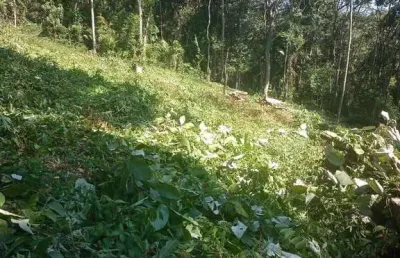 Terreno em condomínio fechado à venda na Alameda das Sempre Vivas, Pirucaia, Mairiporã