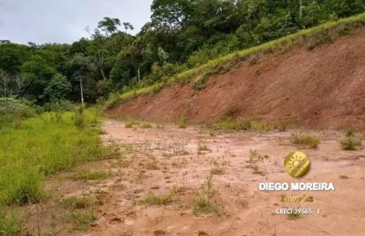 Terreno à venda na Avenida Doutor Sérgio Machado Brauner, Terra Preta, Mairiporã