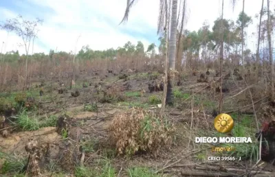 Terreno à venda na Estrada Mário Freitas Da Silva - Mato Dentro, Mato Dentro, Mairiporã