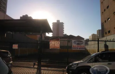 Terreno para alugar, 620 m² por r$ 3.850,00/mês - centro - ribeirão preto/sp