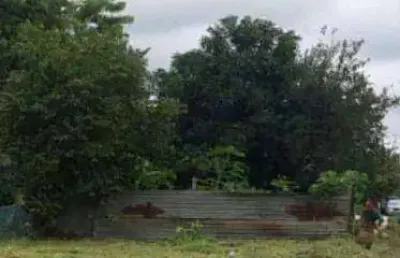 Terreno comercial à venda na Rua Campinas, Quintino Facci I, Ribeirão Preto