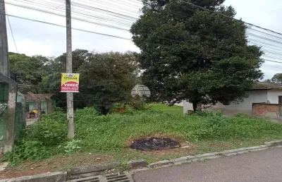 Terreno à venda na avenida perdizes, 864, gralha azul, fazenda rio grande por r$ 200.000