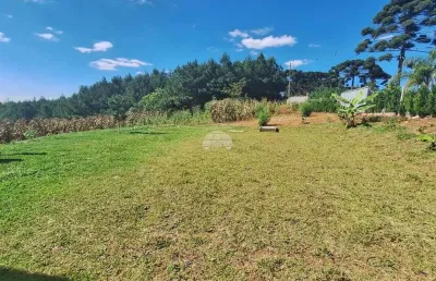 Chácara / sítio à venda na rua generoso ferreira da rocha, zona rural, mandirituba, 2691 m2 por r$ 340.000