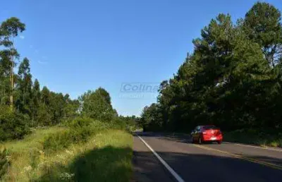 Terreno comercial na ers 124 - rodovia montenegro-br 386