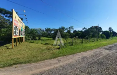 Terreno comercial à venda na br 101 km75, --, itapocu, araquari por r$ 6.000.000