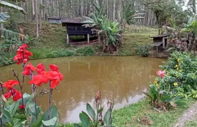 Chácara / sítio com 5 quartos à venda na rua emílio hardt, --, rio bonito (pirabeiraba), joinville, 400 m2 por r$ 7.000.000