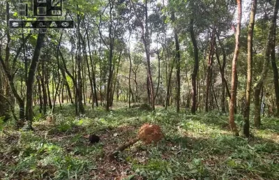 Terreno em condomínio fechado à venda na dos sonhos, arvoredo, nova lima por r$ 480.000