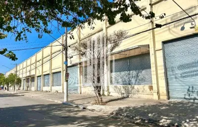 Galpao comercial em são paulo - sp, vila ribeiro de barros