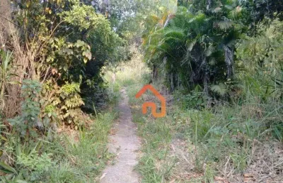 Área à venda, 30000 m² por r$ 10.000.000,00 - pendotiba - niterói/rj