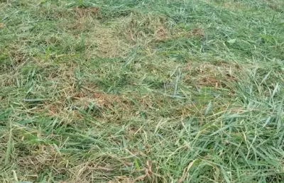 Terreno para locação no jardim piazza di roma - sorocaba/sp