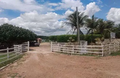 Fazenda à venda no Centro, Brejinho 