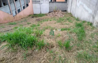 Terreno à venda, 137 m² por r$ 212.000,00 - parque flamengo - guarulhos/sp