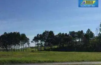 Terreno, 10900 m² - venda por r$ 6.900.000 ou aluguel por r$ 10.000/mês - vila artura - sorocaba/sp