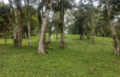 Terreno à venda no Centro, Campo Alegre 