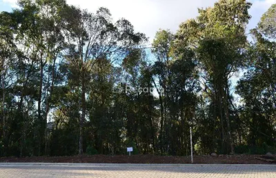 Terreno à venda na Gentil Bonato, Vale das Colinas, Gramado