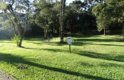 Terreno à venda, 739 m² altos pinheiros - canela/rs