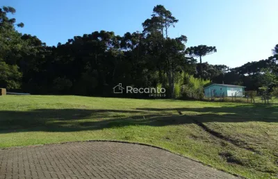 Terreno à venda, 1975 m²  altos pinheiros - canela/rs