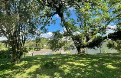 Terreno à venda na Rs 235, Centro, Nova Petrópolis