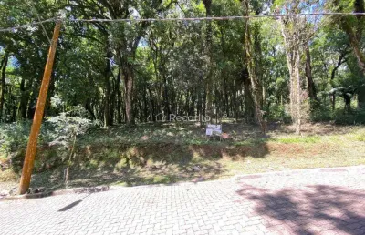 Terreno à venda na Rua José Pedro Piva, Parque Pinheiro Grosso, Canela