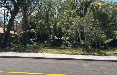 Terreno à venda na Rua Dos Pinheiros, Alpes Verdes, Canela