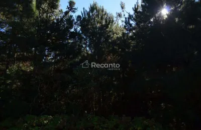 Área à venda, 80000 m² - mato queimado - gramado/rs
