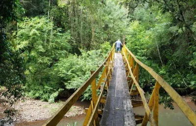 Chácara / sítio à venda na Rodovia Rs 120, Zona Rural, Três Coroas