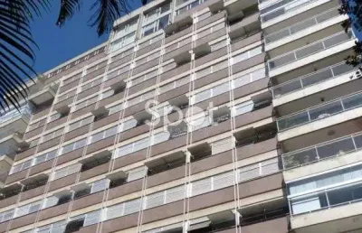 De frente para o verde - apartamento superagradável no real parque!!!