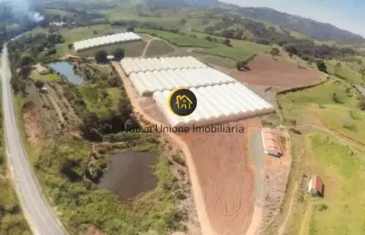 Chácara para venda em amparo, centro, 5 dormitórios, 5 banheiros
