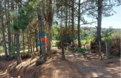 Chácara / sítio com 4 quartos à venda no Pitangal, Jarinu 