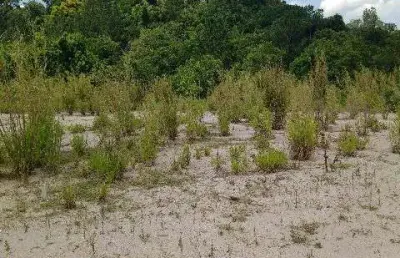 Terreno à venda no Caxambu, Jundiaí 