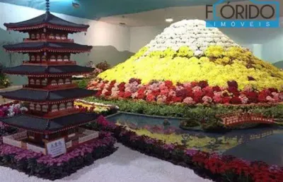Terreno em condomínio para venda em atibaia, condomínio bosque dos eucalíptos