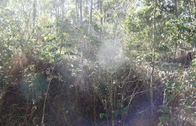 Terreno em condomínio para venda em atibaia, condomínio bosque dos eucalíptos