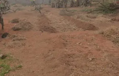 Terreno à venda no Loteamento Vale das Flores, Atibaia 