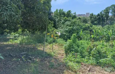 Terreno à venda no Chácaras Brasil, Atibaia 