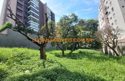 Terreno à venda na Rua Regente Leon Kaniefsky, Vila Progredior, São Paulo