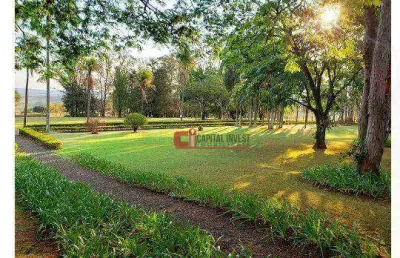 Terreno à venda, 262 m² por r$ 225.000 - colina do castelo - jaguariúna/sp