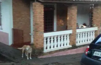 Casa residencial à venda, chácara primavera, jaguariúna.