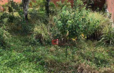 Terreno à venda, 300 m² por r$ 250.000 - nova jaguariúna - jaguariúna/sp