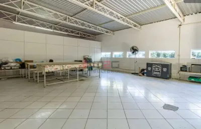 Barracão / Galpão / Depósito com 2 salas para alugar na Vila Ipojuca, São Paulo 