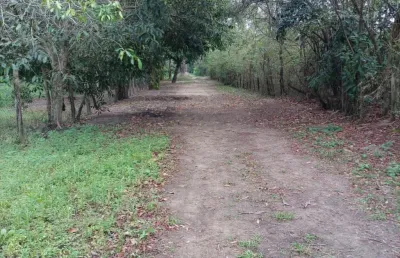 Terreno à venda na Rua Coronel Jaime de Lemos, Guaratiba, Rio de Janeiro