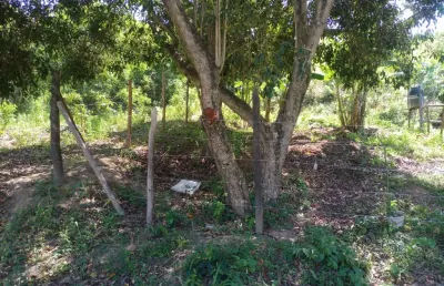 Terreno à venda na Estrada do Catruz, Pedra de Guaratiba, Rio de Janeiro