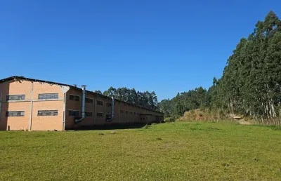 Barracão para locação em mandirituba, abranches, 2 banheiros