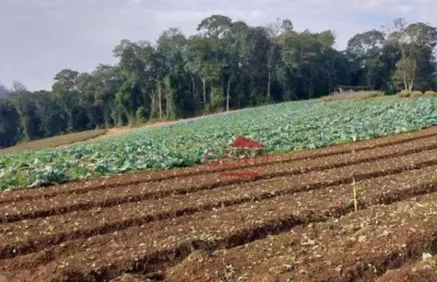 Terreno  minha casa, minha vida à venda, jardim são marcos, itapevi - te0006.