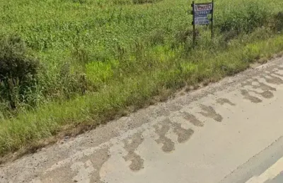 Terreno comercial à venda na Rodovia Ivo Silveira, 29, Lagoa, Gaspar