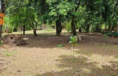 Chácara com 2 dormitórios à venda, 1898 m² por r$ 400.000,00 - bacaetava - iperó/sp